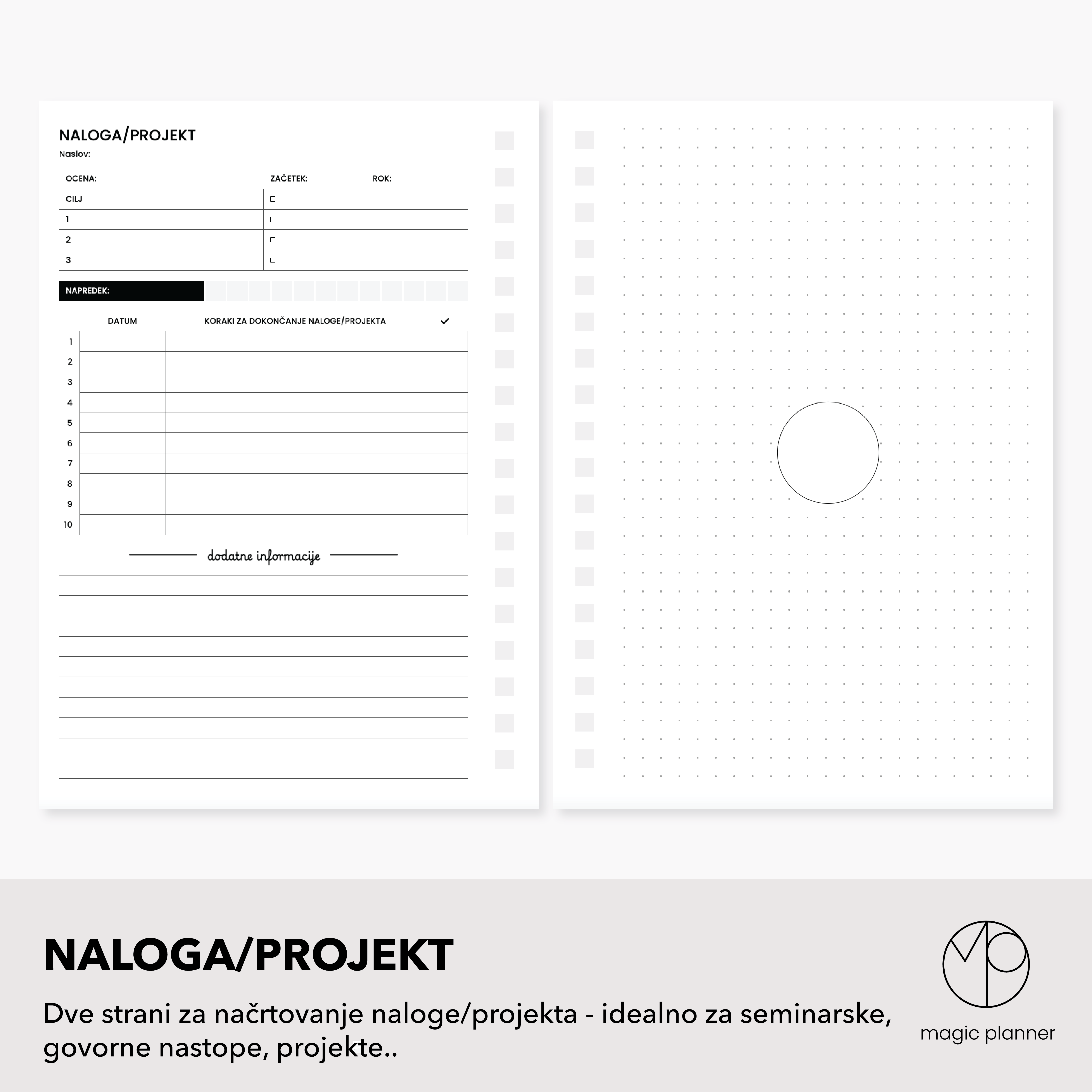 Naloga/projekt